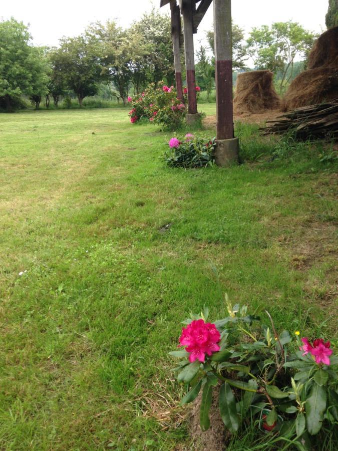 La Mouliniere, Jolie Longere Du Xviie Bed & Breakfast La Jaille-Yvon Bagian luar foto