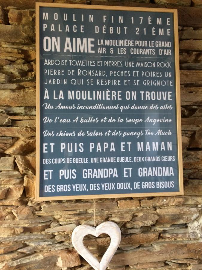 La Mouliniere, Jolie Longere Du Xviie Bed & Breakfast La Jaille-Yvon Bagian luar foto