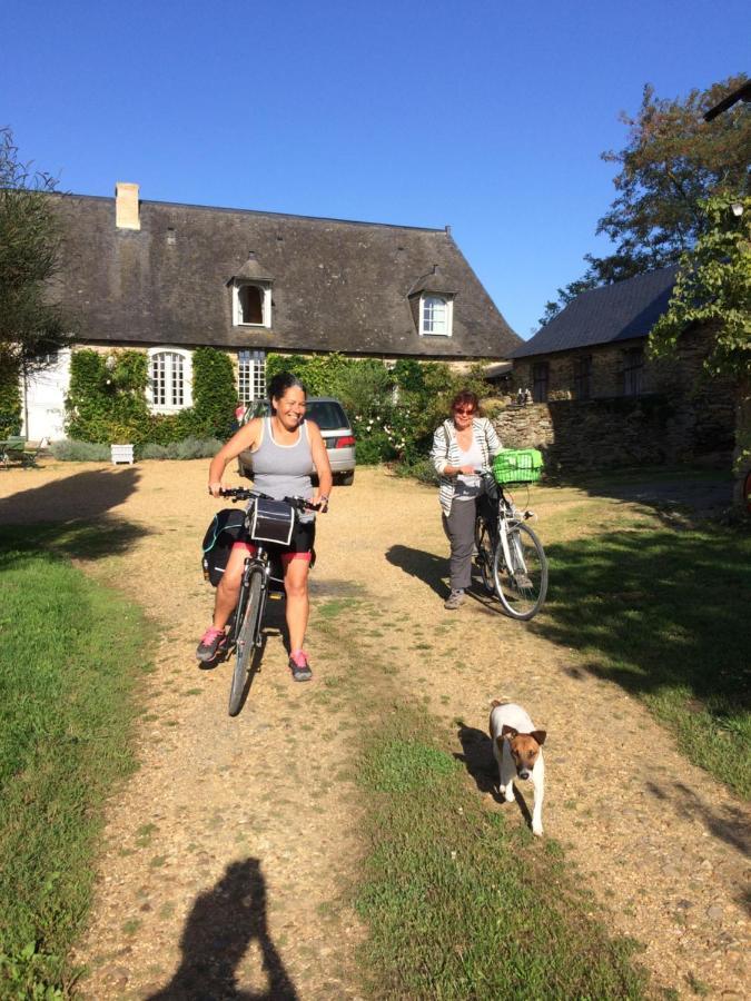 La Mouliniere, Jolie Longere Du Xviie Bed & Breakfast La Jaille-Yvon Bagian luar foto