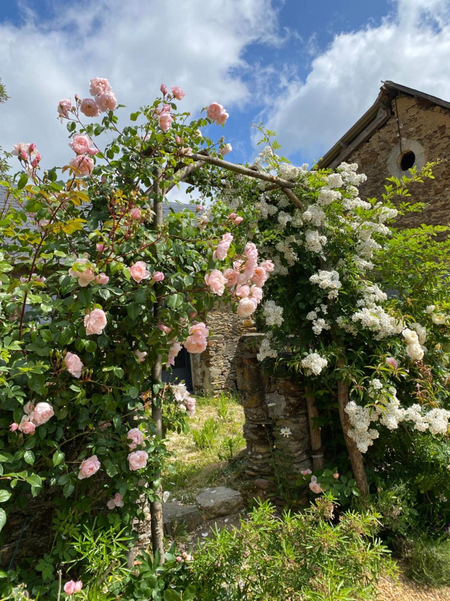 La Mouliniere, Jolie Longere Du Xviie Bed & Breakfast La Jaille-Yvon Bagian luar foto